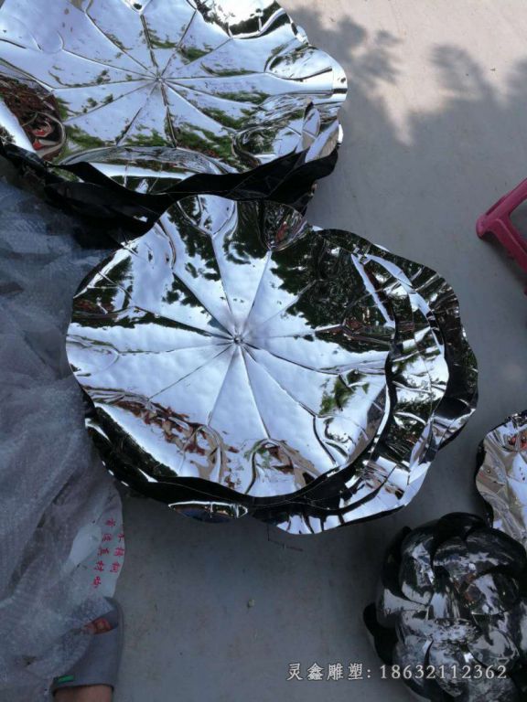 荷花 (2)